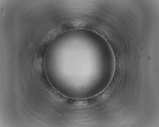 X0000072490319200607141111