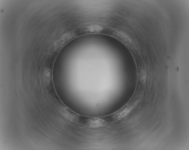 X0000072490321200607141111