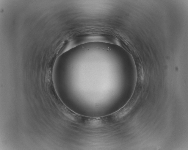 X0000072490325200607141111
