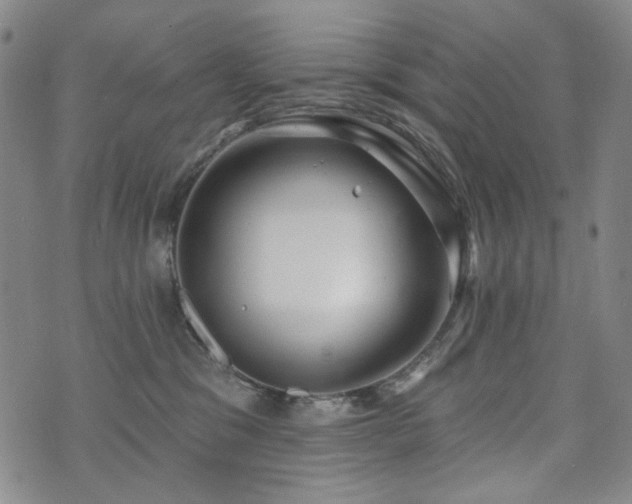 X0000072490329200607141111