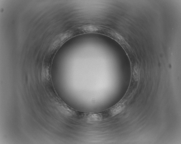 X0000072490330200607141111