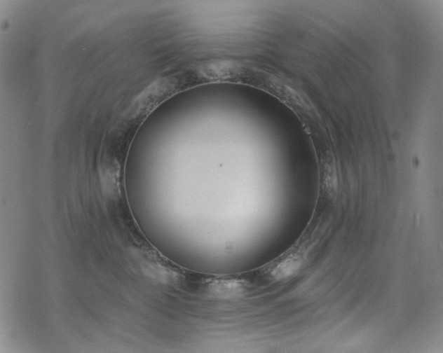 X0000072490332200607141111