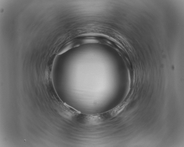 X0000072490333200607141111