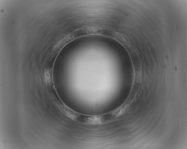 X0000072490335200607141111