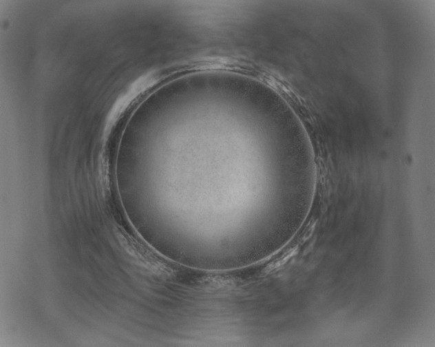 X0000072490343200607141110