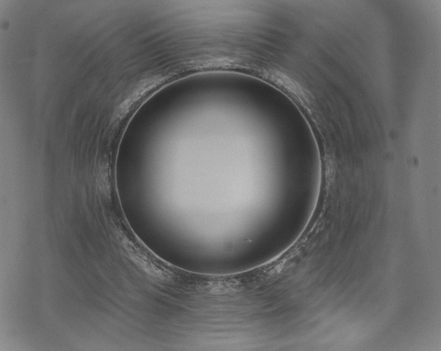 X0000072490345200607141110