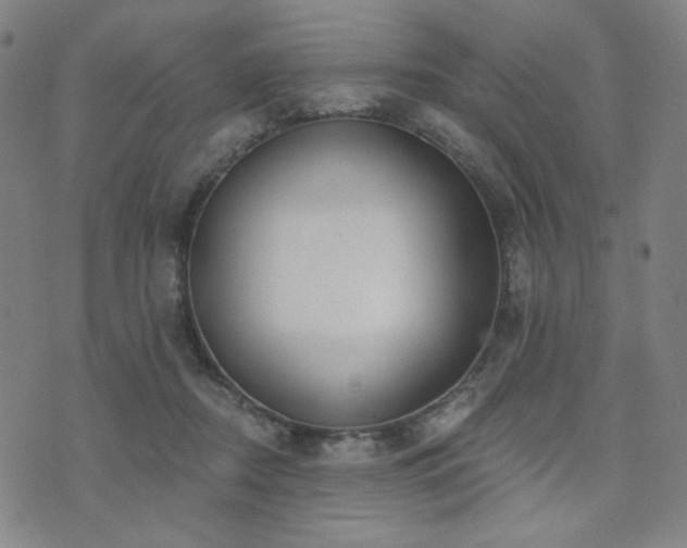 X0000072490362200607141110