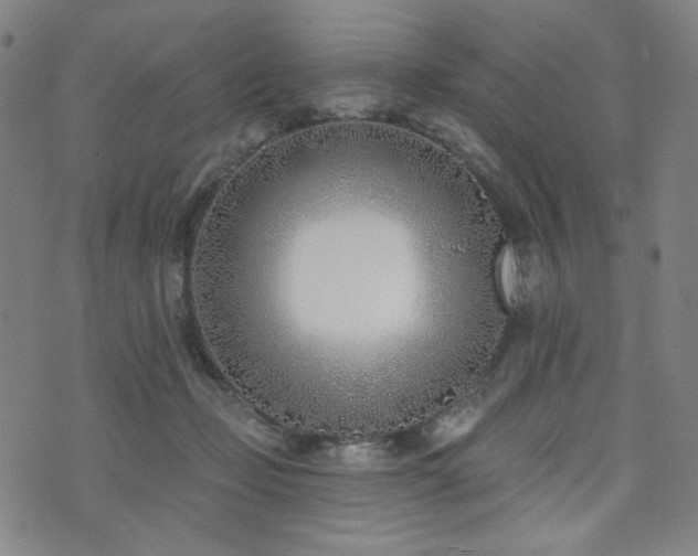 X0000072490365200607141110