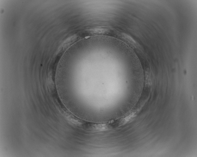 X0000072490377200607141111