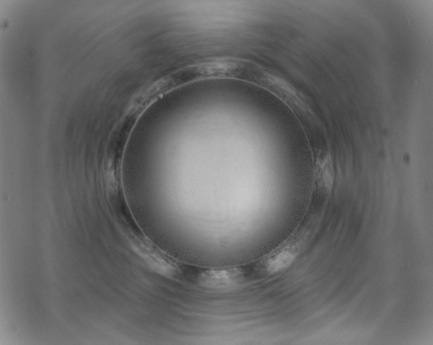 X0000072490381200607141111