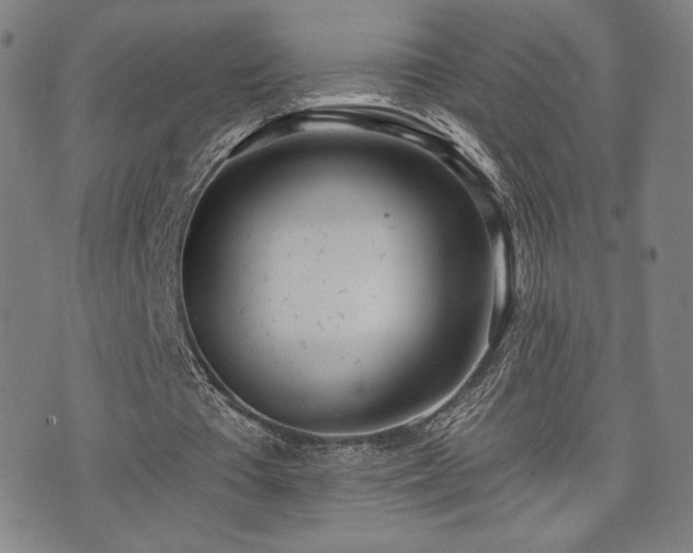 X0000072490385200607141110