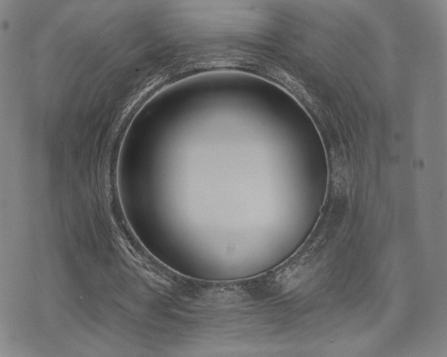 X0000072490386200607141110