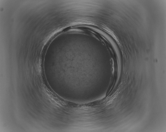 X0000072490387200607141110