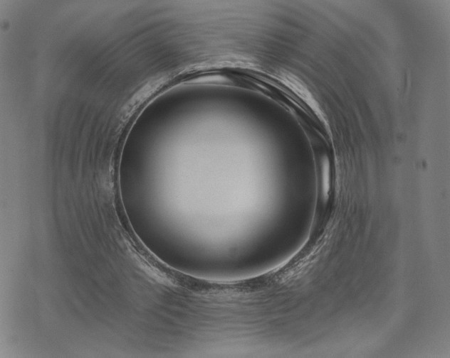 X0000072490389200607141110