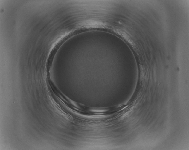 X0000072490391200607141110