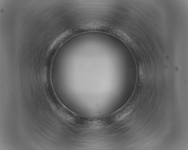X0000072490396200607141110