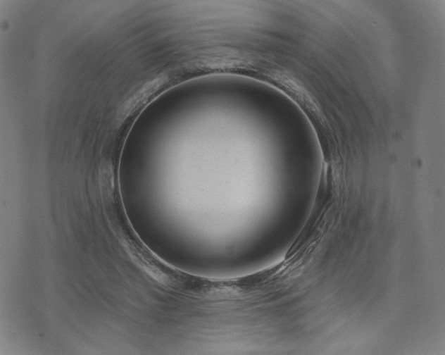 X0000072490397200607141110