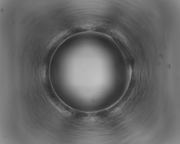 X0000072490404200607141110