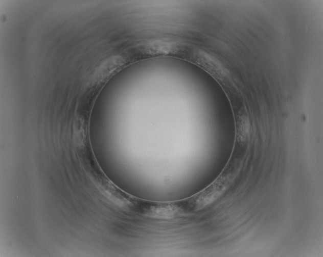 X0000072490414200607141109