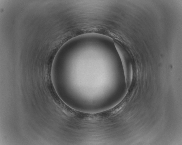 X0000072490416200607141109