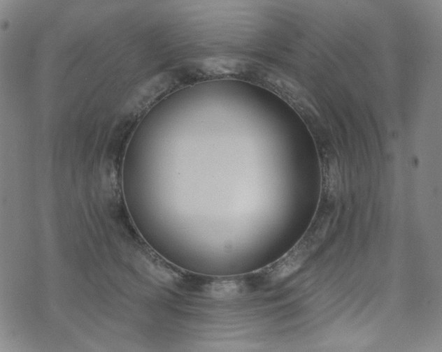 X0000072490418200607141109