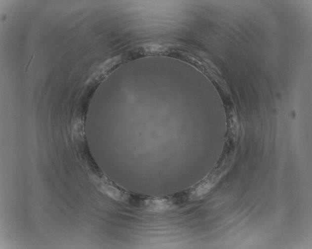 X0000072490419200607141109
