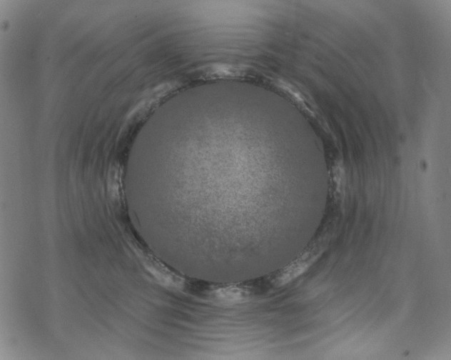 X0000072490423200607141109