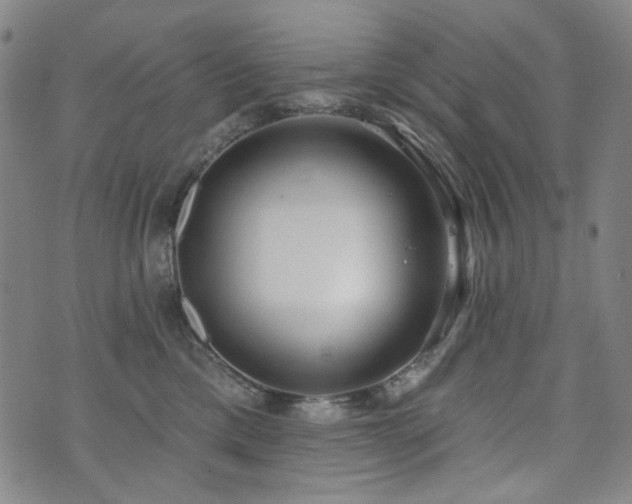 X0000072490425200607141109
