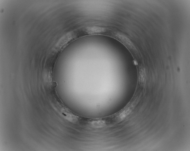 X0000072490426200607141109