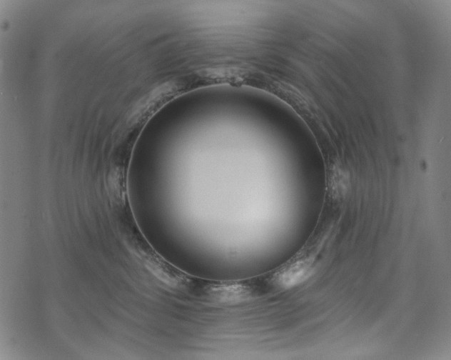 X0000072490428200607141109