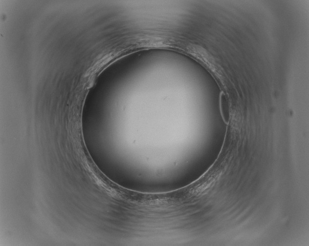 X0000072490433200607141108