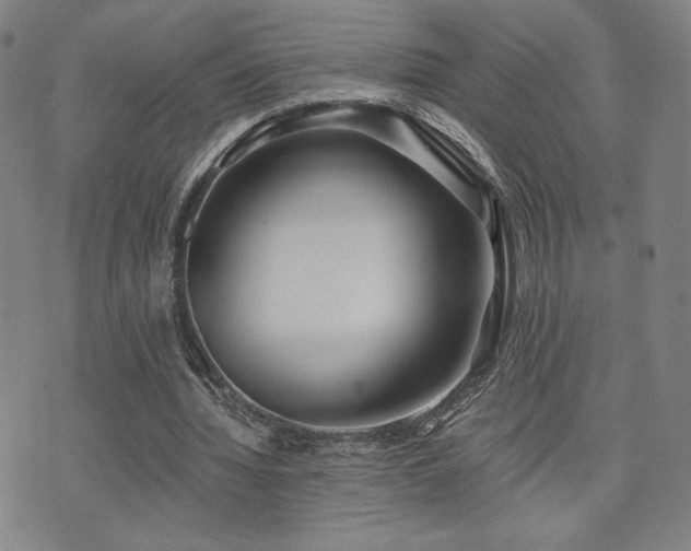 X0000072490436200607141108