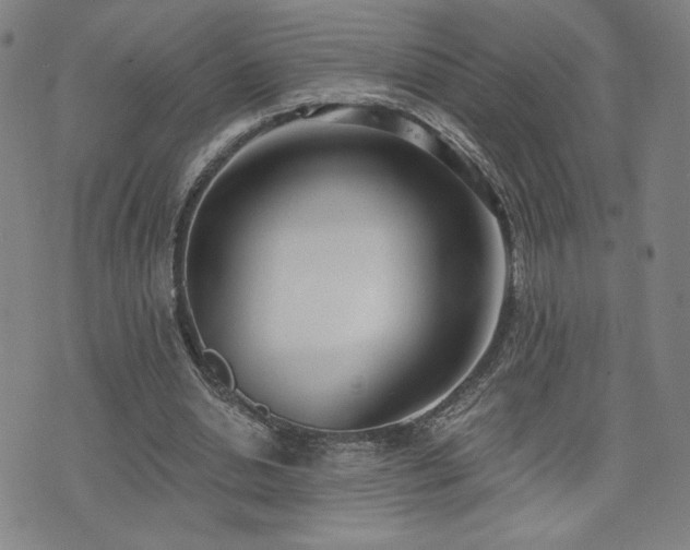 X0000072490438200607141108