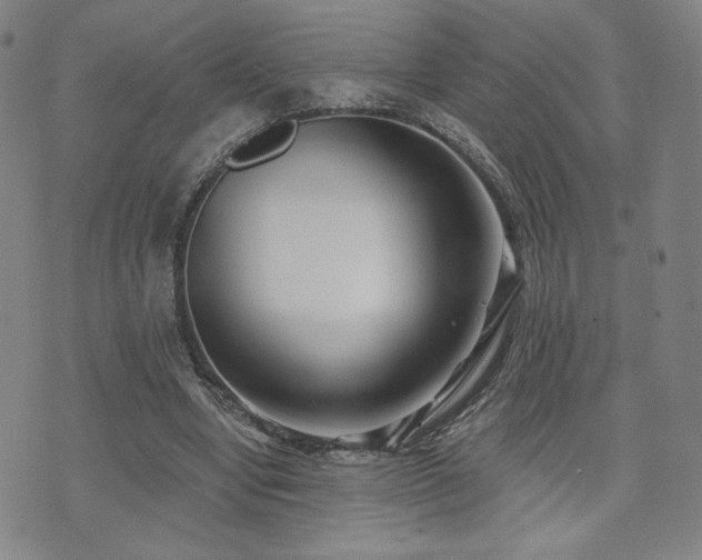 X0000072490442200607141108