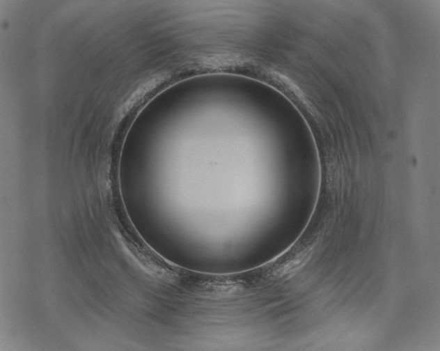 X0000072490443200607141108