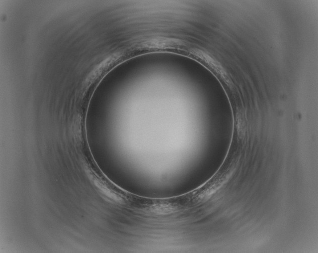 X0000072490445200607141109