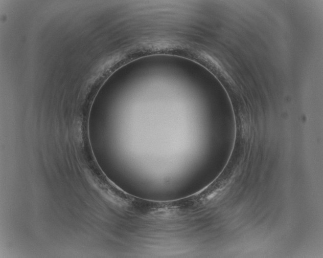 X0000072490447200607141109
