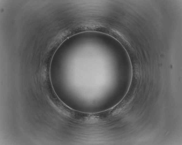 X0000072490451200607141109