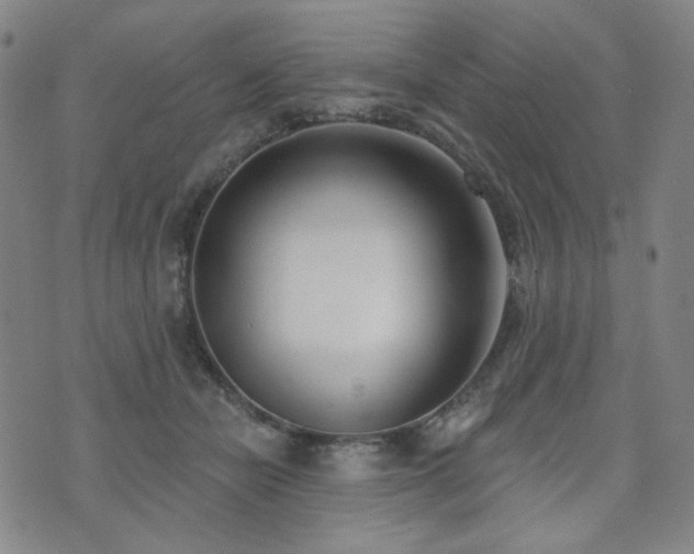 X0000072490462200607141109