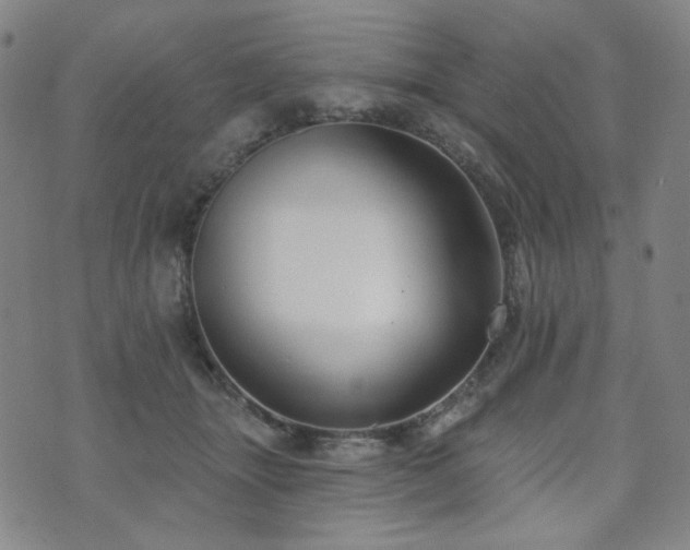 X0000072490463200607141109