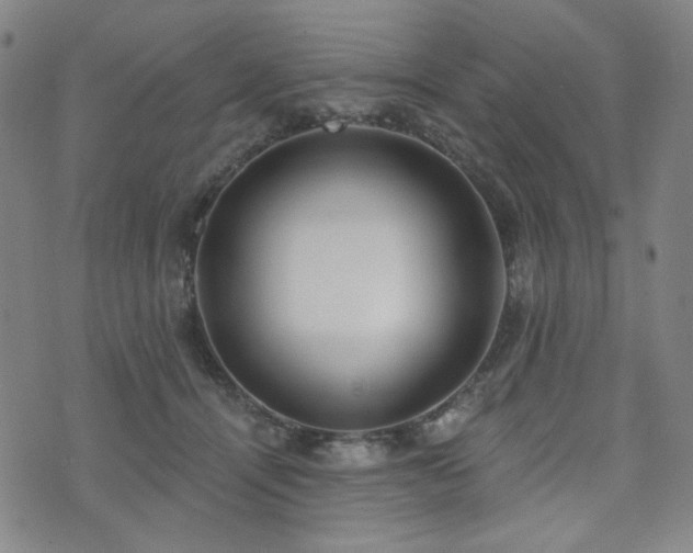 X0000072490464200607141109
