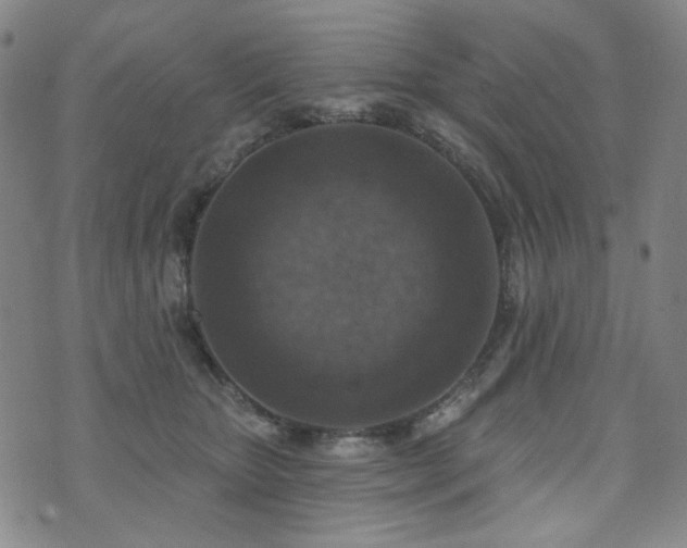 X0000072490467200607141109