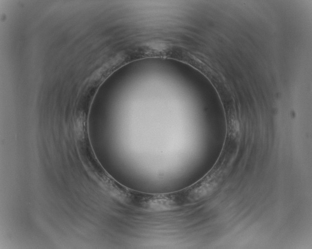 X0000072490468200607141109