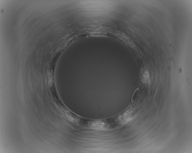 X0000072490471200607141109