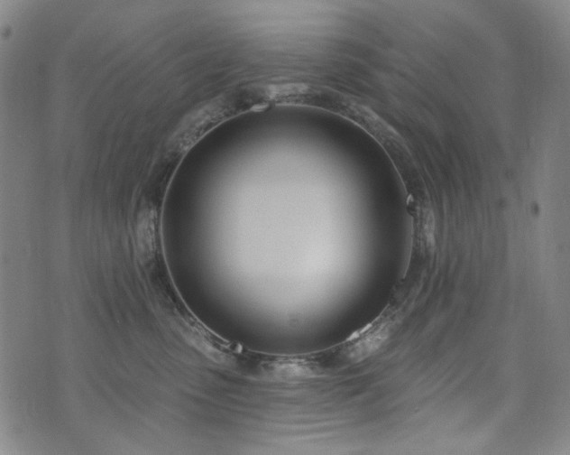X0000072490475200607141109