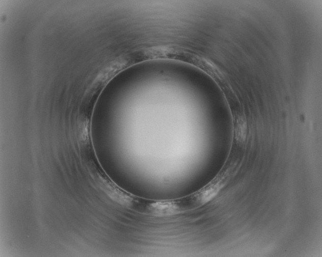 X0000072490477200607141109