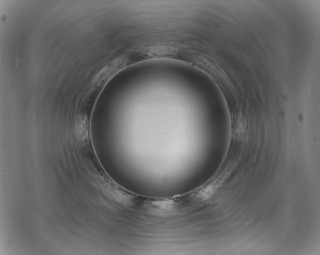 X0000072490478200607141109