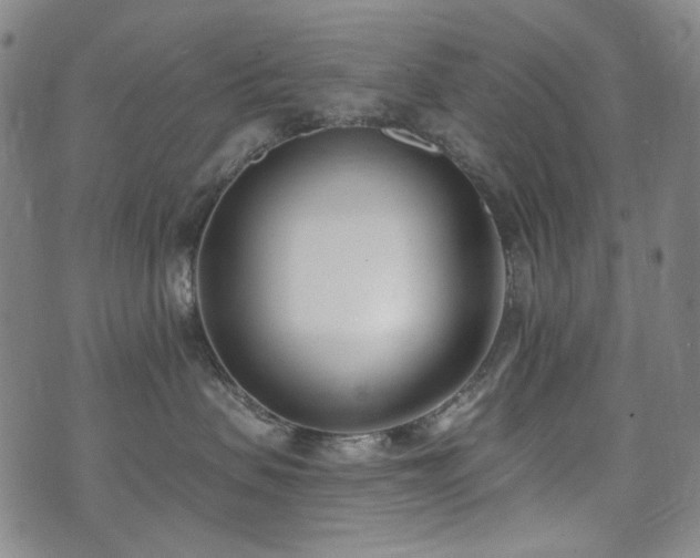 X0000072490479200607141109