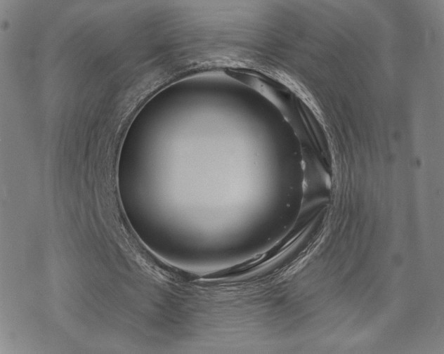 X0000072490481200607141108