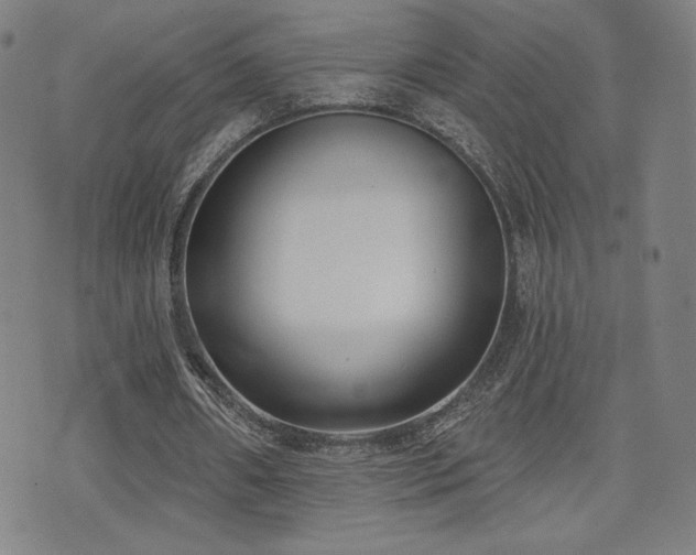 X0000072490482200607141108